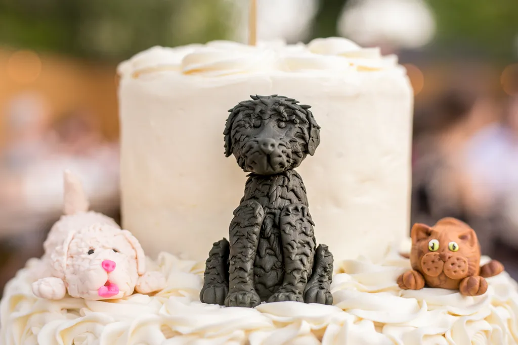 Weddings and Dogs: best ways to involve them, photo 22 of 24
