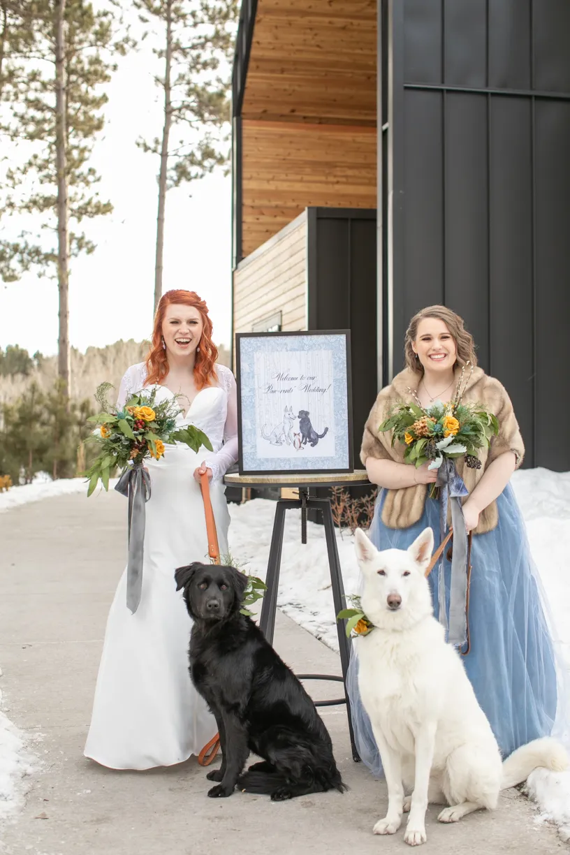Weddings and Dogs: best ways to involve them, photo 20 of 24