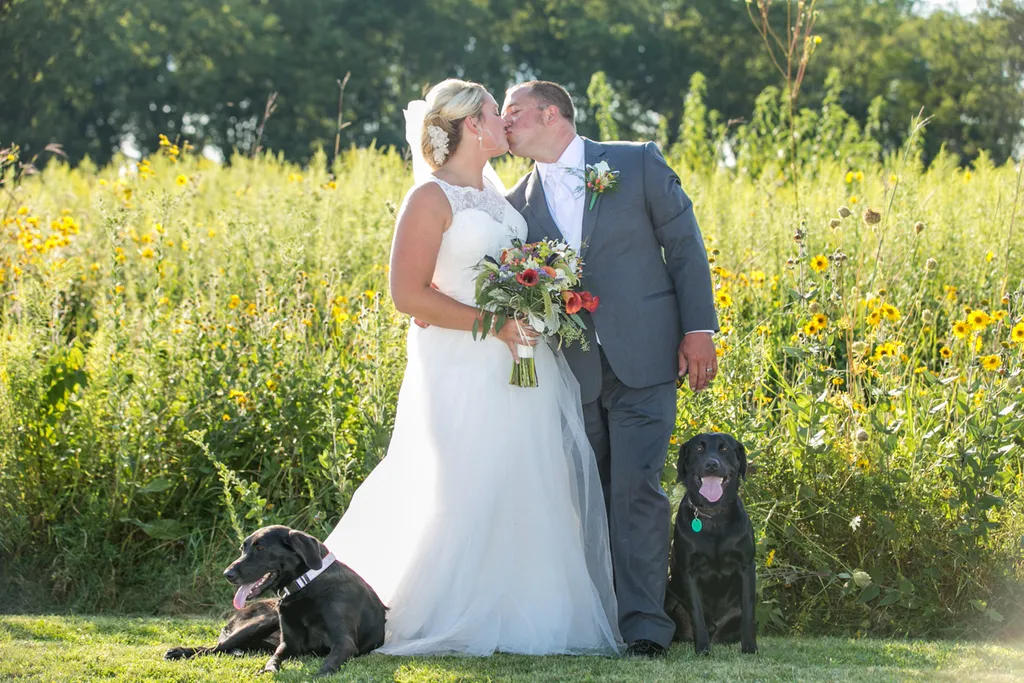 Weddings and Dogs: best ways to involve them, photo 16 of 24