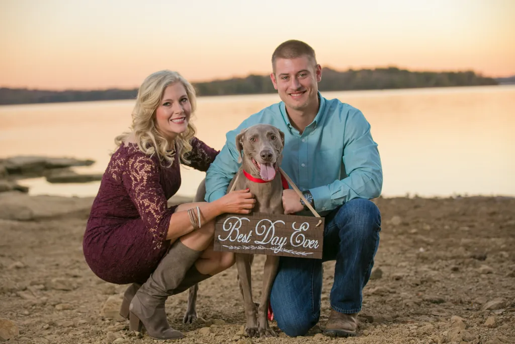 Weddings and Dogs: best ways to involve them, photo 18 of 24