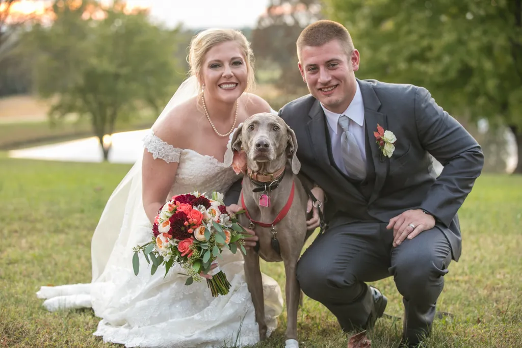 Weddings and Dogs: best ways to involve them, photo 14 of 24