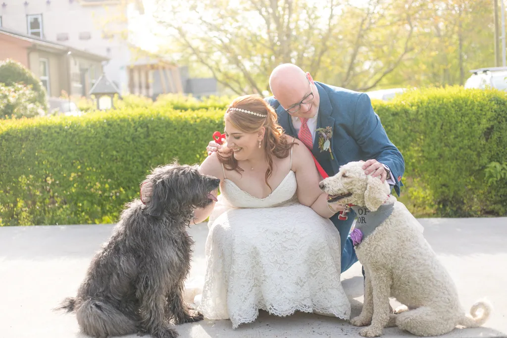 Weddings and Dogs: best ways to involve them, photo 1 of 24