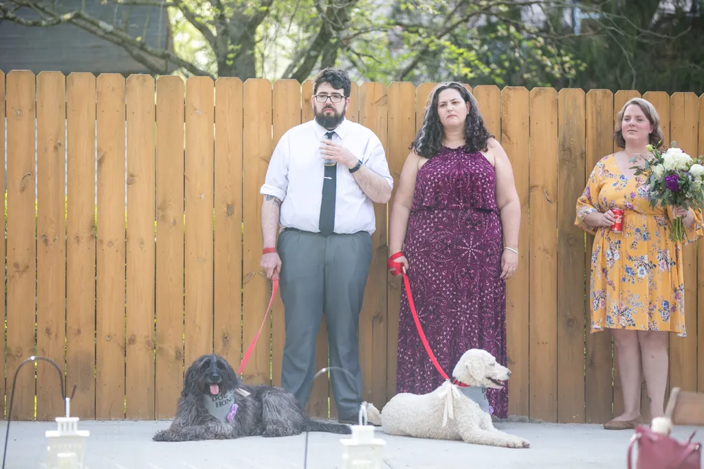 Weddings and Dogs: best ways to involve them, photo 8 of 24