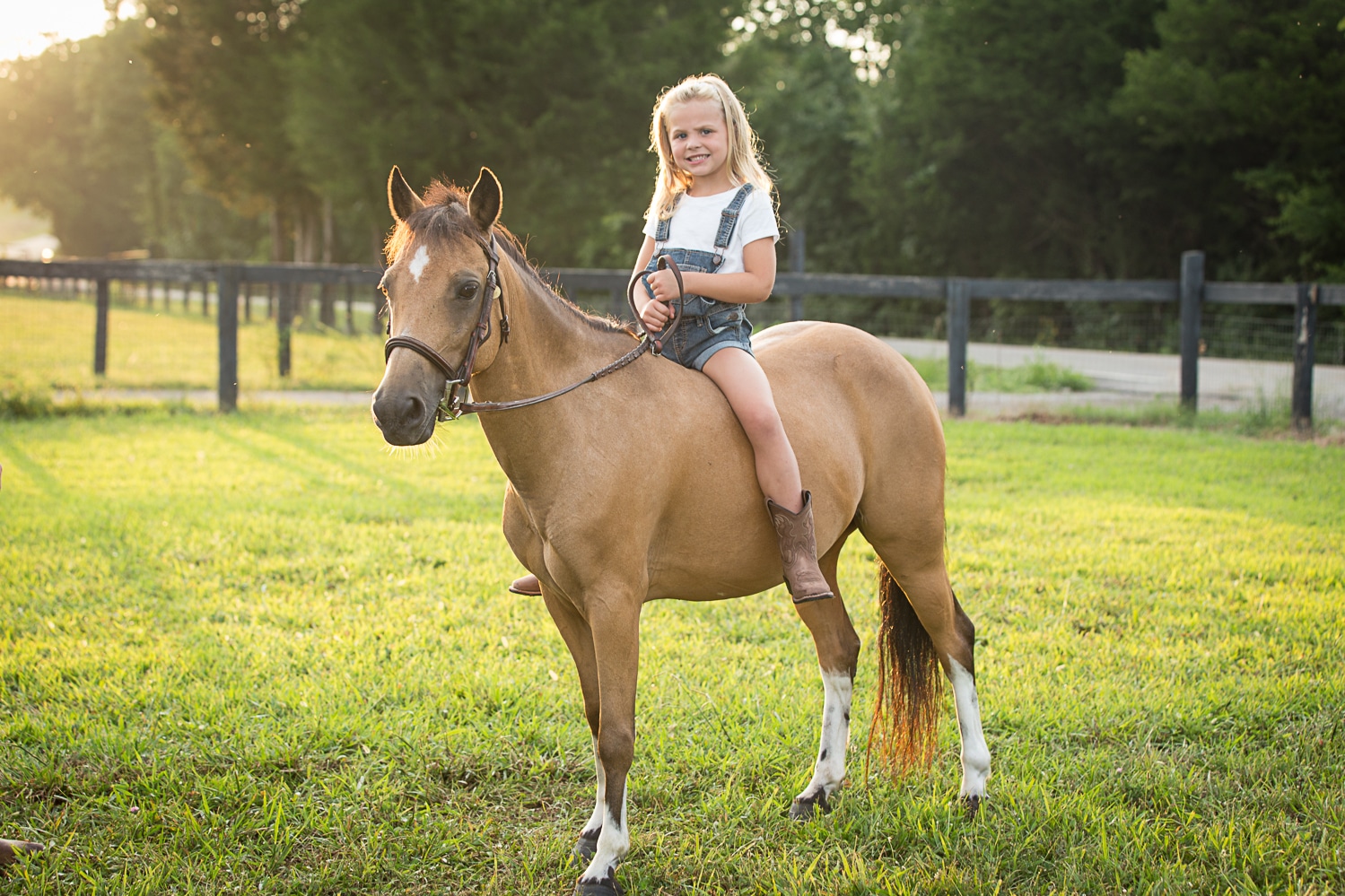 Tennesse Equine Photography, Equine Family Session