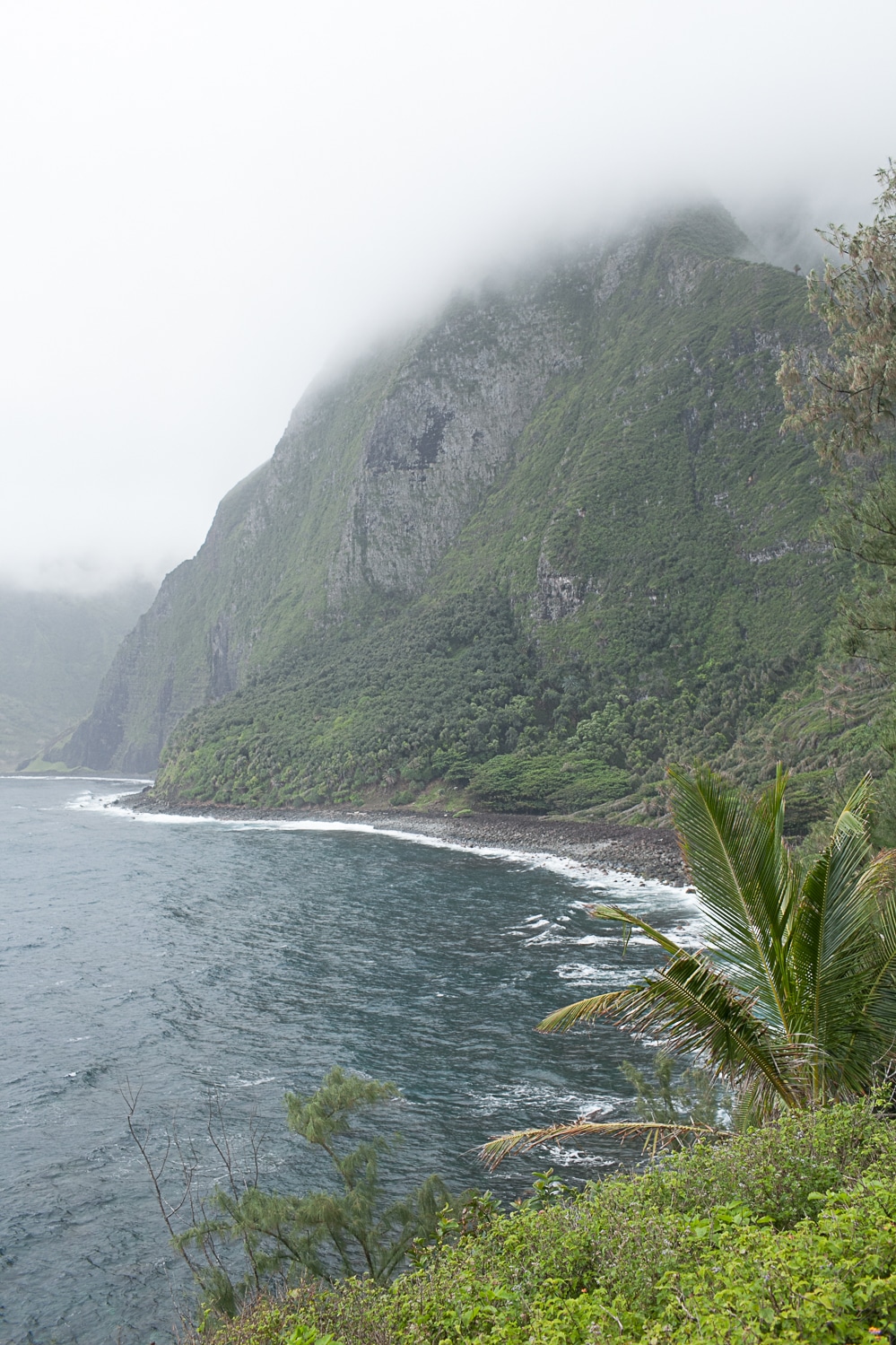 Honeymoon in Hawaii. Cliffs off kaluapapa 