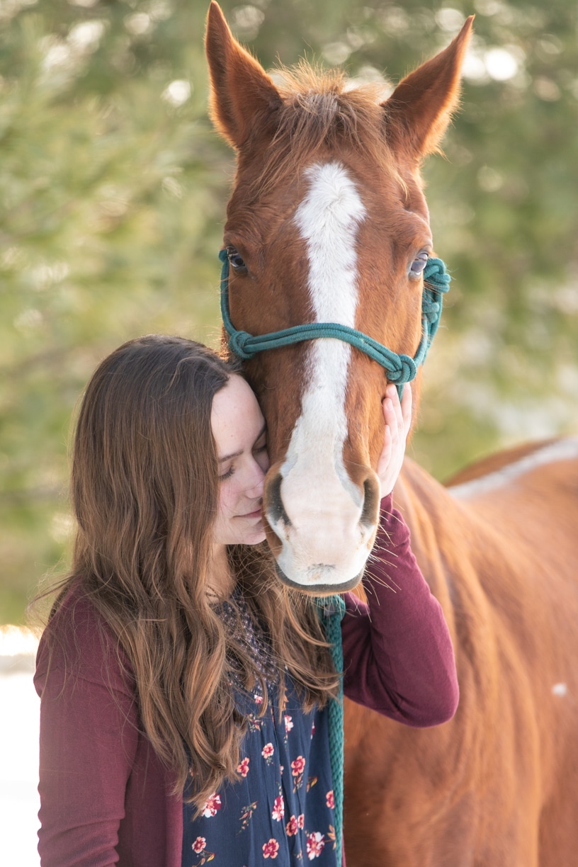Equestrian photography1 K Schulz Photography