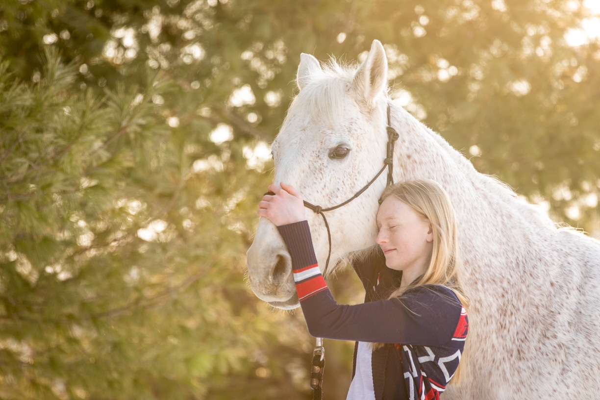 Equestrian photography4 K Schulz Photography