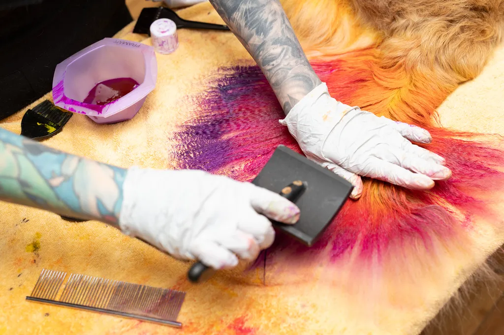 Why Personal Branding Photography is So Important for Your Business, photo 13 of 53