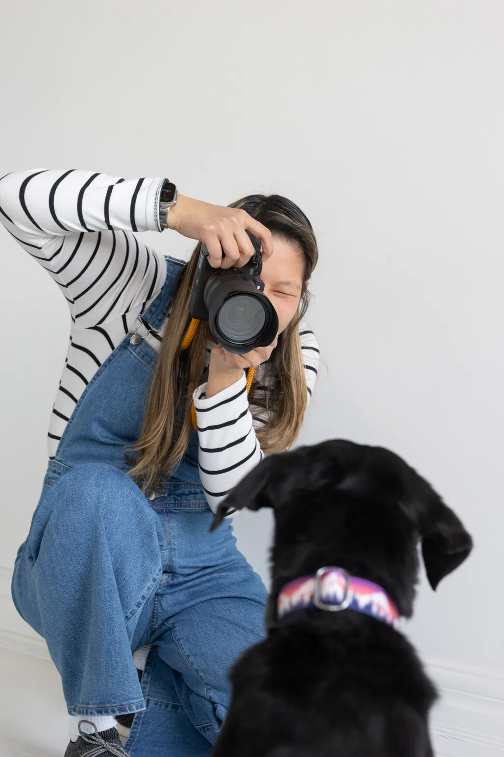 photographer taking picture of a black dog