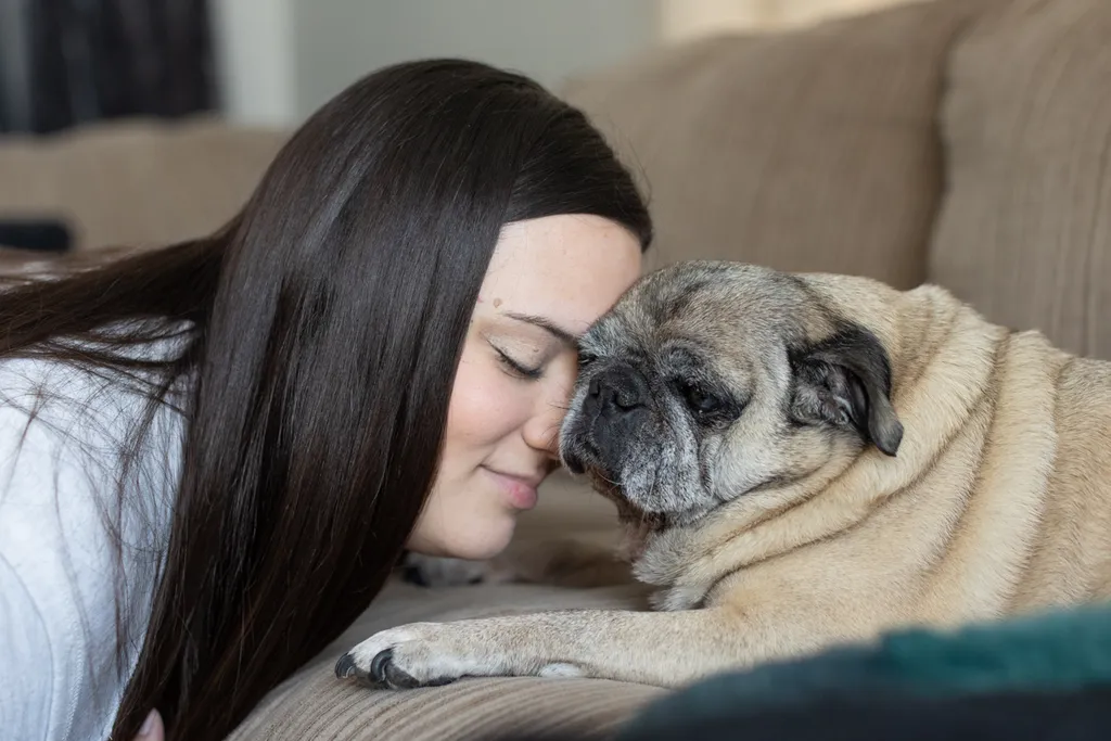 Senior pet bucket list: 10 activities to do with your aging pet, photo 1 of 9