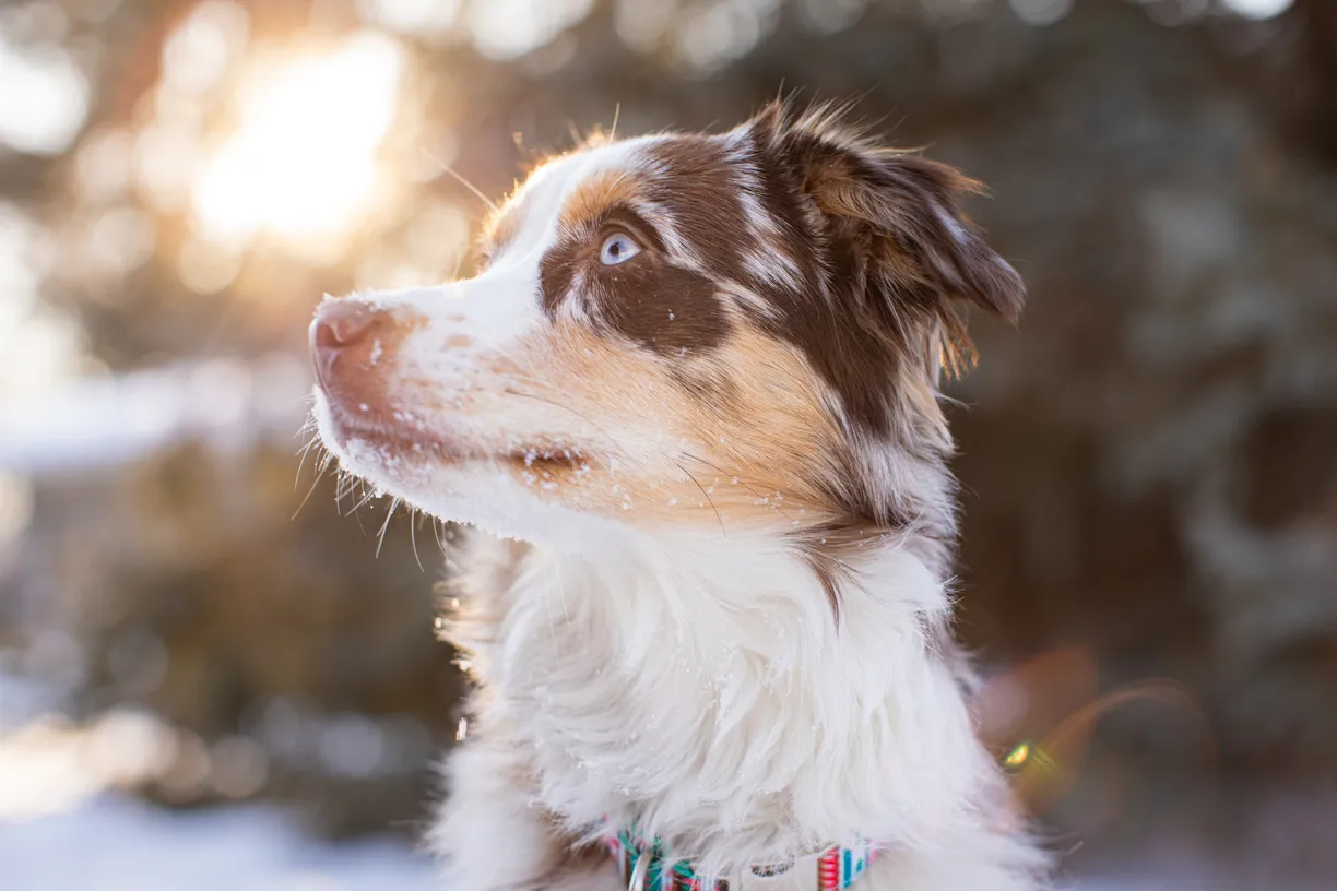 Photo from Kristine and Sadie’s session