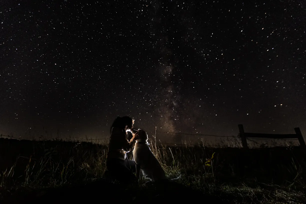 Cover photo for Starry Night photos
