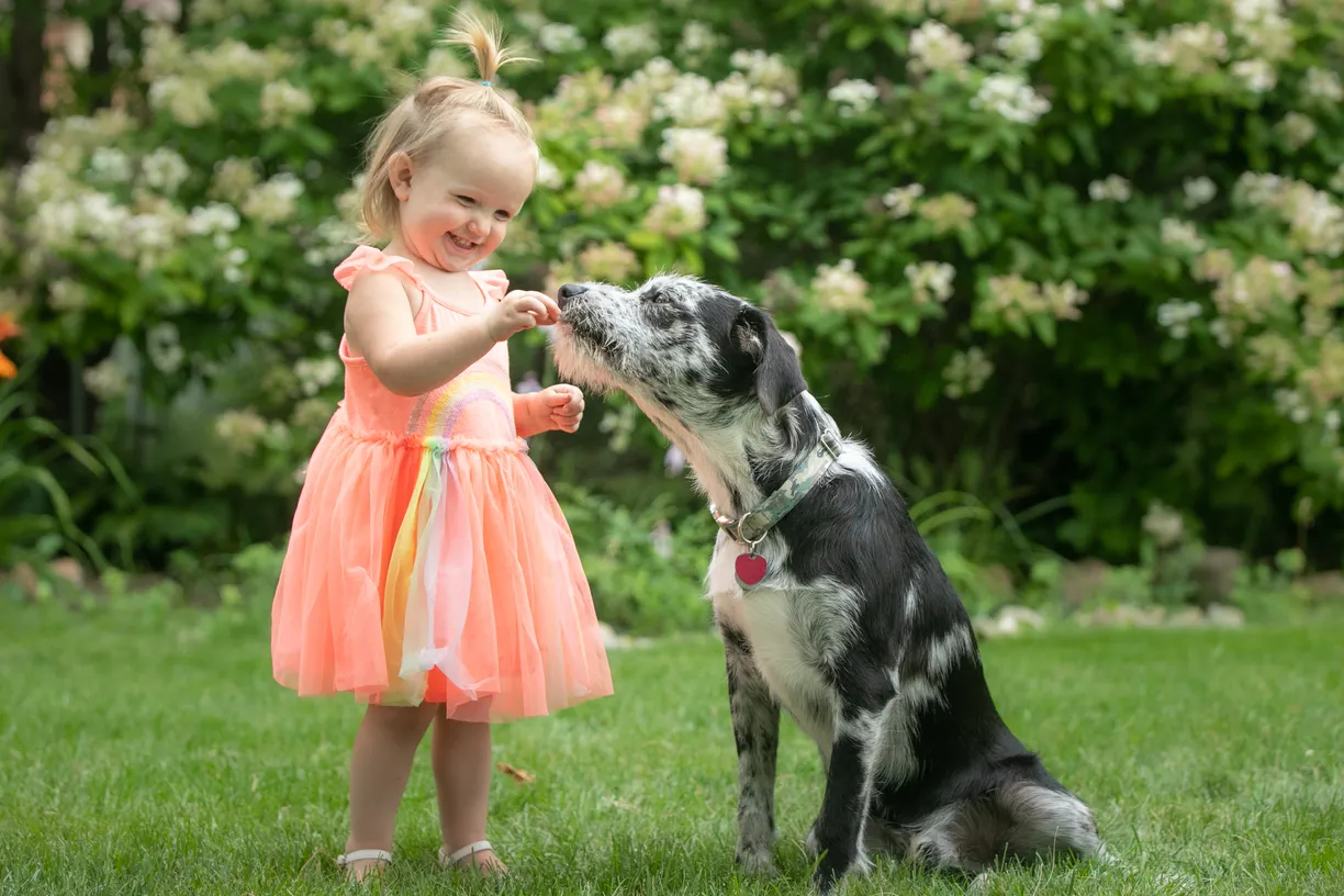 Photo from the Sweckers family’s session