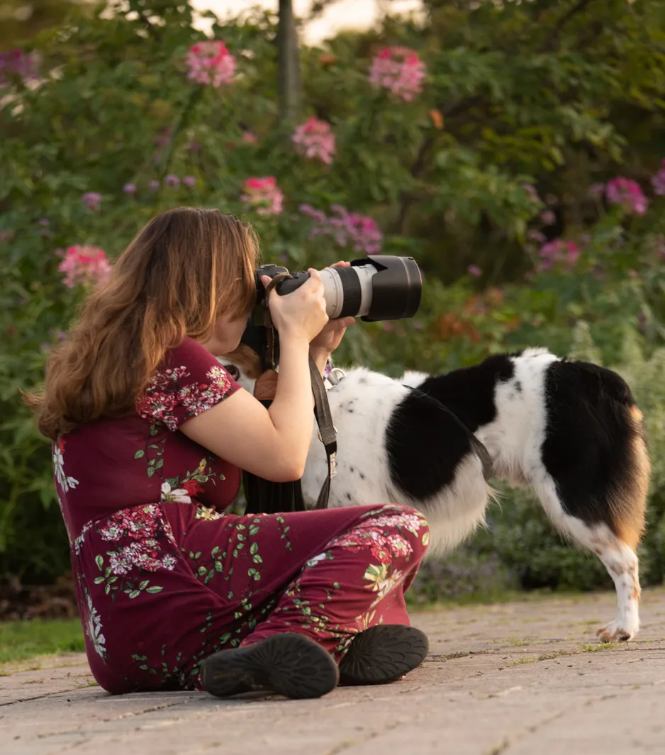 Cover photo for Why You Should Give Your Pet A Professional Photo Session
