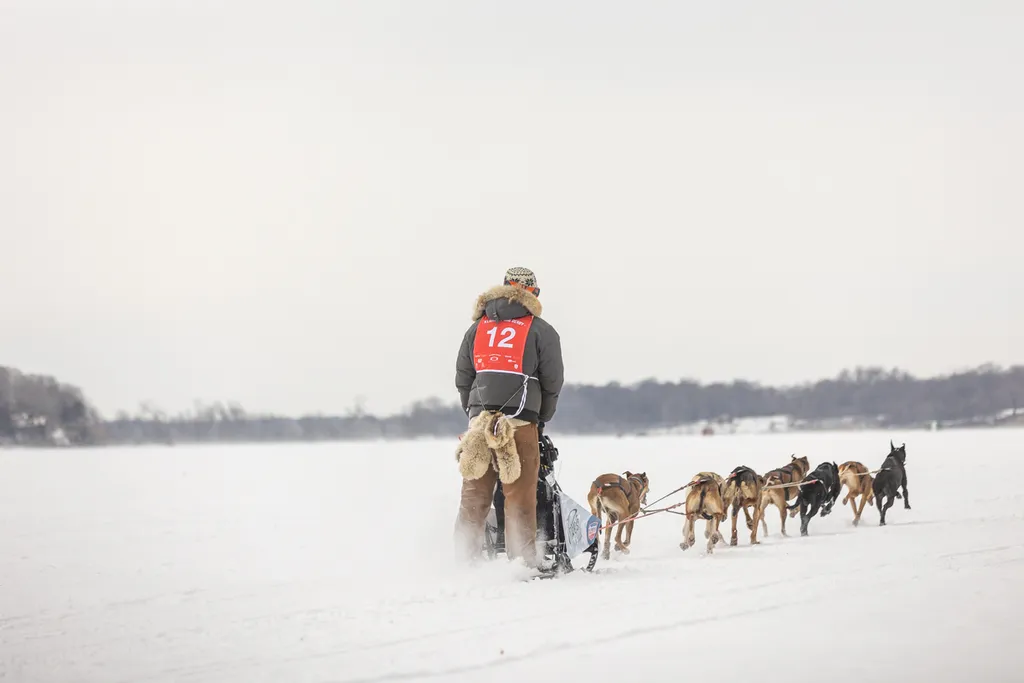 Klondike Dog Derby 2022 Lake Minnetonka, photo 10 of 29