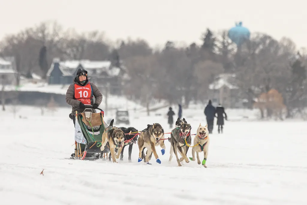 Klondike Dog Derby 2022 Lake Minnetonka, photo 1 of 29