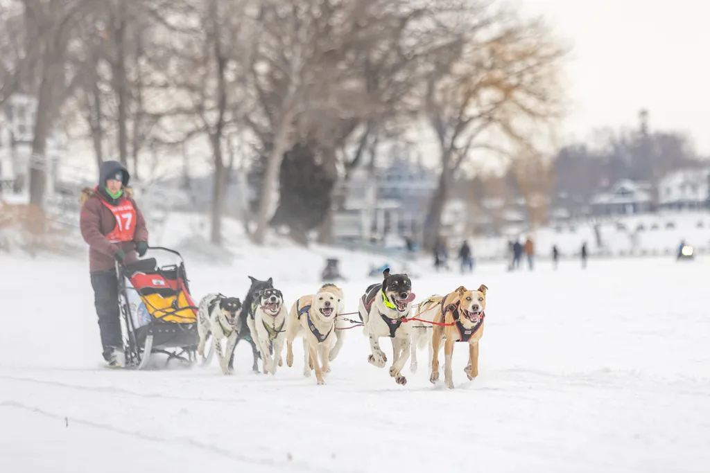 Klondike Dog Derby 2022 Lake Minnetonka, photo 25 of 29
