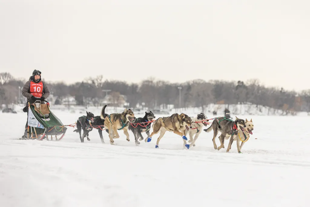 Klondike Dog Derby 2022 Lake Minnetonka, photo 2 of 29