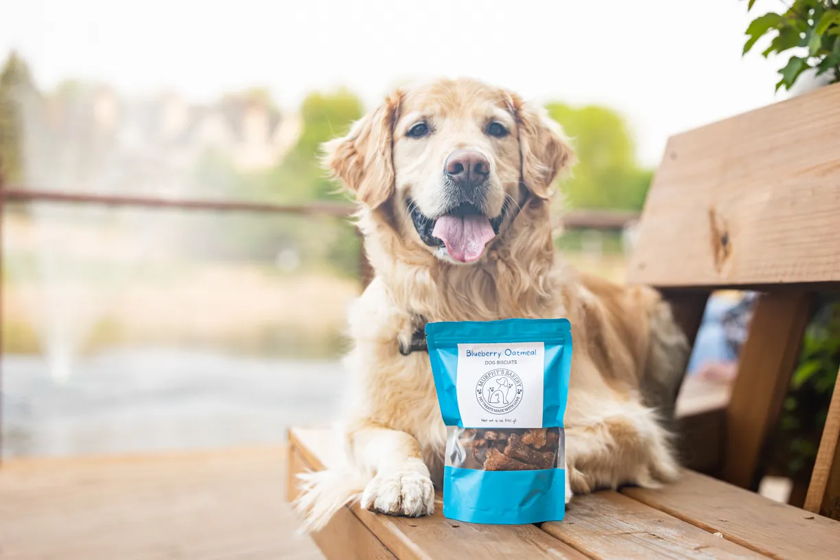 Dog Brand Photography: Murphy’s Bakery