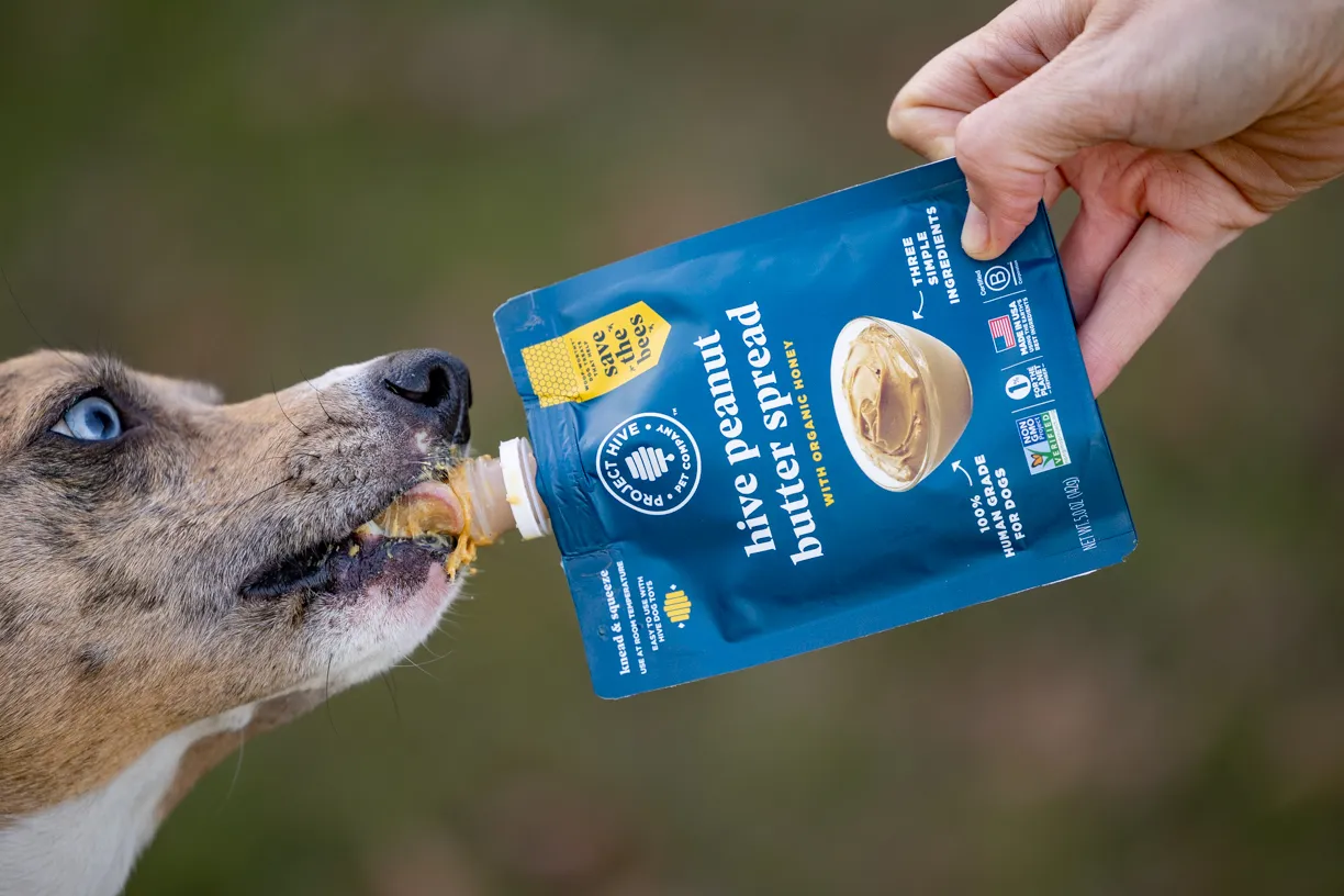 Dog Product Photography: Project Hive Pet Company