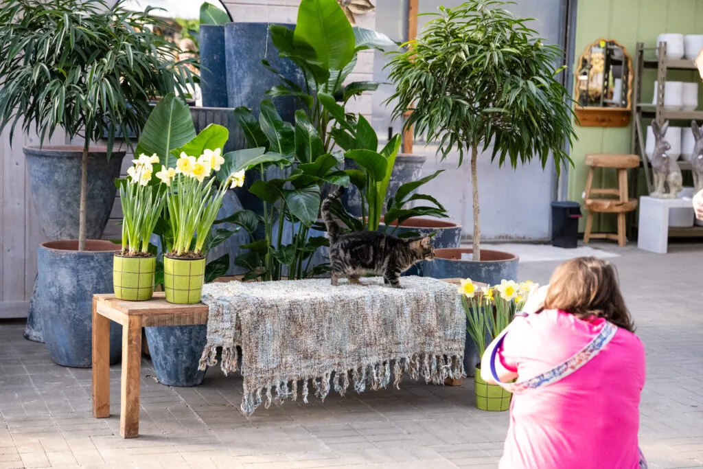 4th Annual Foster photo event at Tonkadale, photo 25 of 40