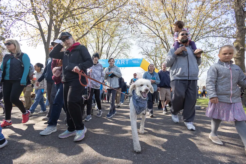A Perfect Day for Paws: the 2025 Walk for Animals, photo 12 of 31