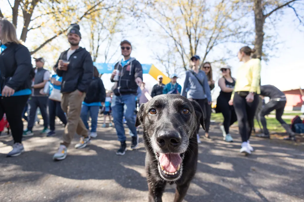 A Perfect Day for Paws: the 2025 Walk for Animals, photo 13 of 31
