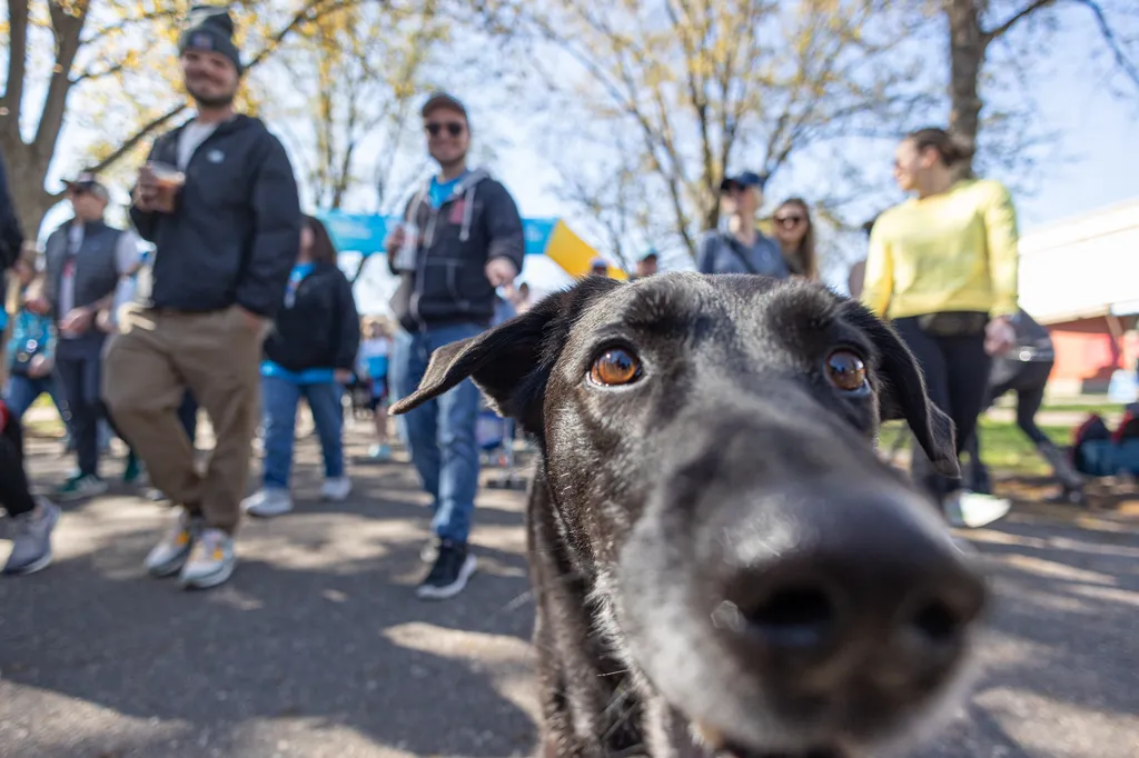A Perfect Day for Paws: the 2025 Walk for Animals, photo 14 of 31