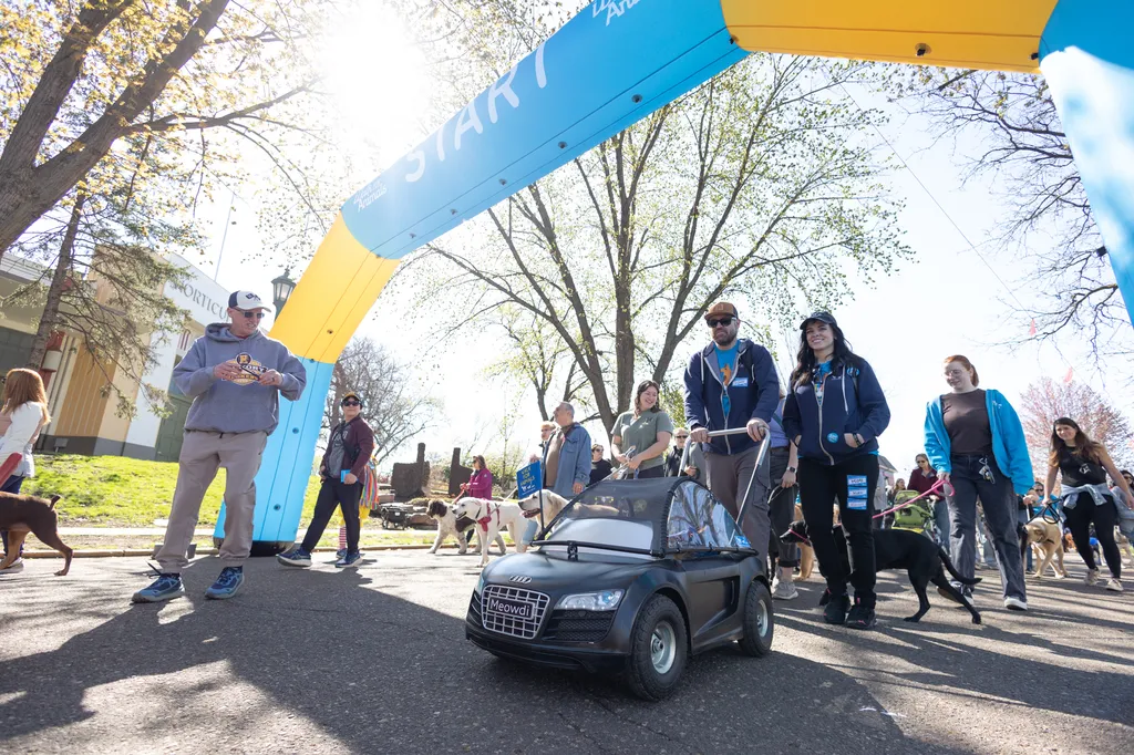 A Perfect Day for Paws: the 2025 Walk for Animals, photo 18 of 31
