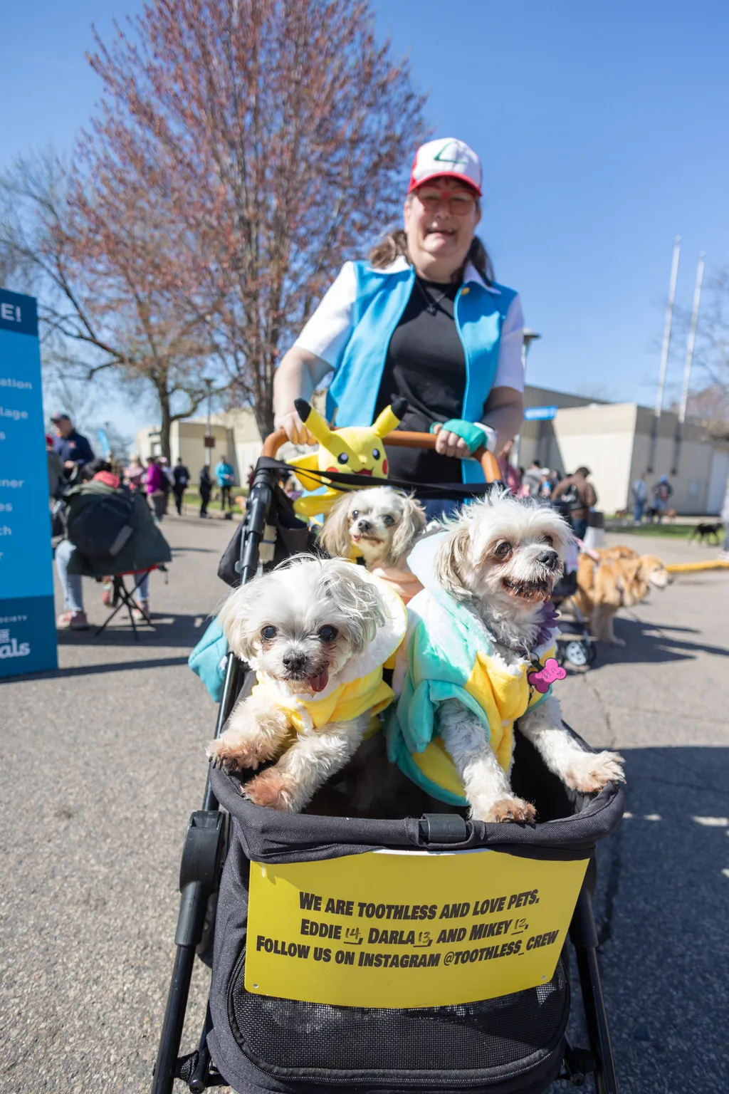 A Perfect Day for Paws: the 2025 Walk for Animals, photo 20 of 31