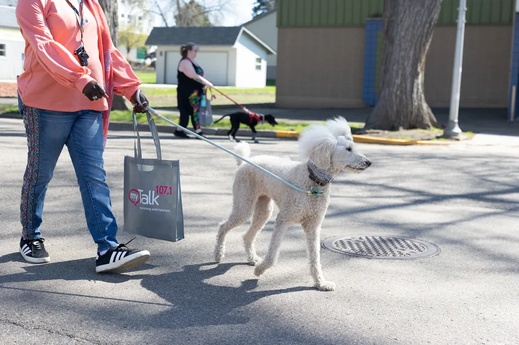 A Perfect Day for Paws: the 2025 Walk for Animals, photo 22 of 31