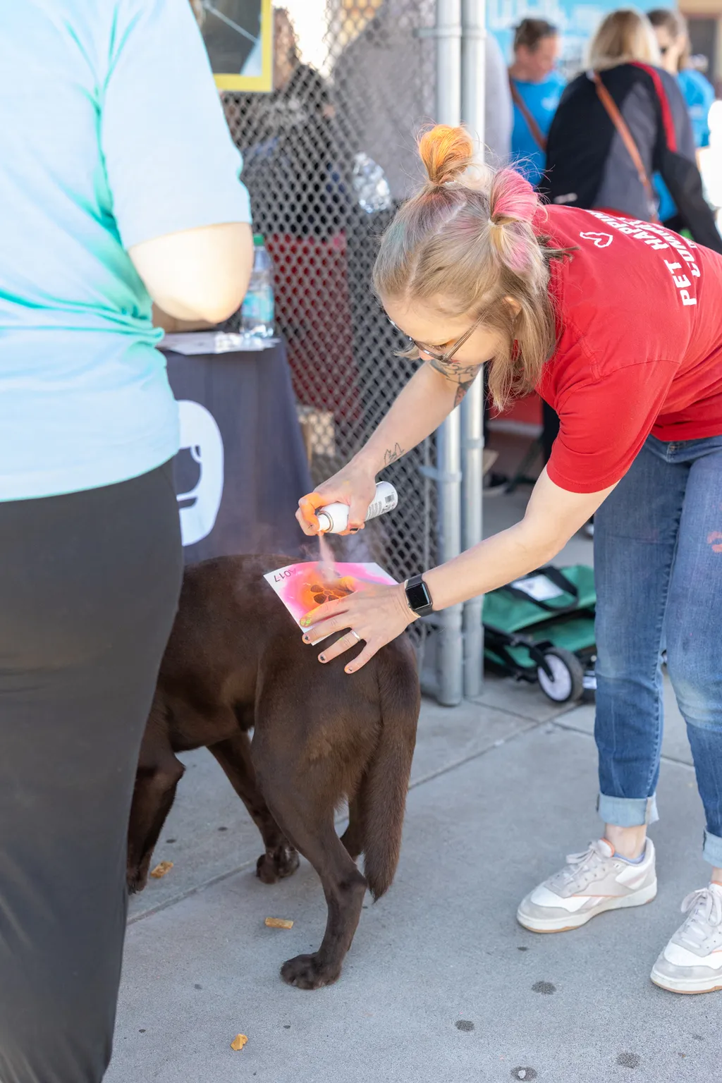 A Perfect Day for Paws: the 2025 Walk for Animals, photo 21 of 31