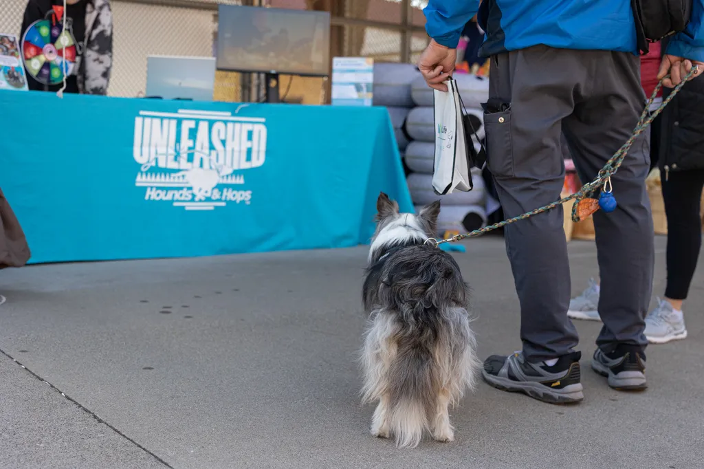 A Perfect Day for Paws: the 2025 Walk for Animals, photo 8 of 31