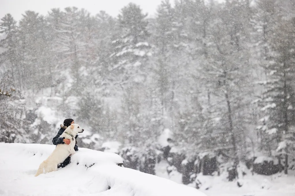 Minnesota Winter with Your Dog: Activities to keep you active and sane, photo 3 of 14