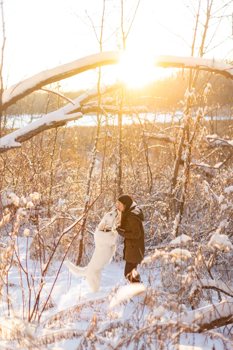 Woman and her white dog sharing a kiss in a snowy woodland at sunset
