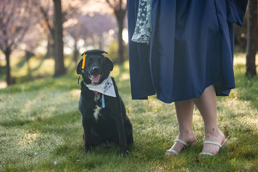 Capturing Paw-some Moments: A 2023 Minnesota Pet Photography Recap That Will Make Your Tail Wag, photo 27 of 107