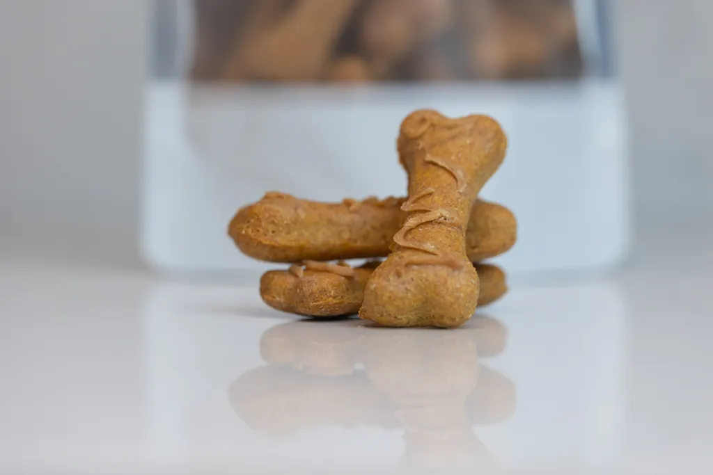 Capturing Paw-some Moments: A 2023 Minnesota Pet Photography Recap That Will Make Your Tail Wag, photo 29 of 107