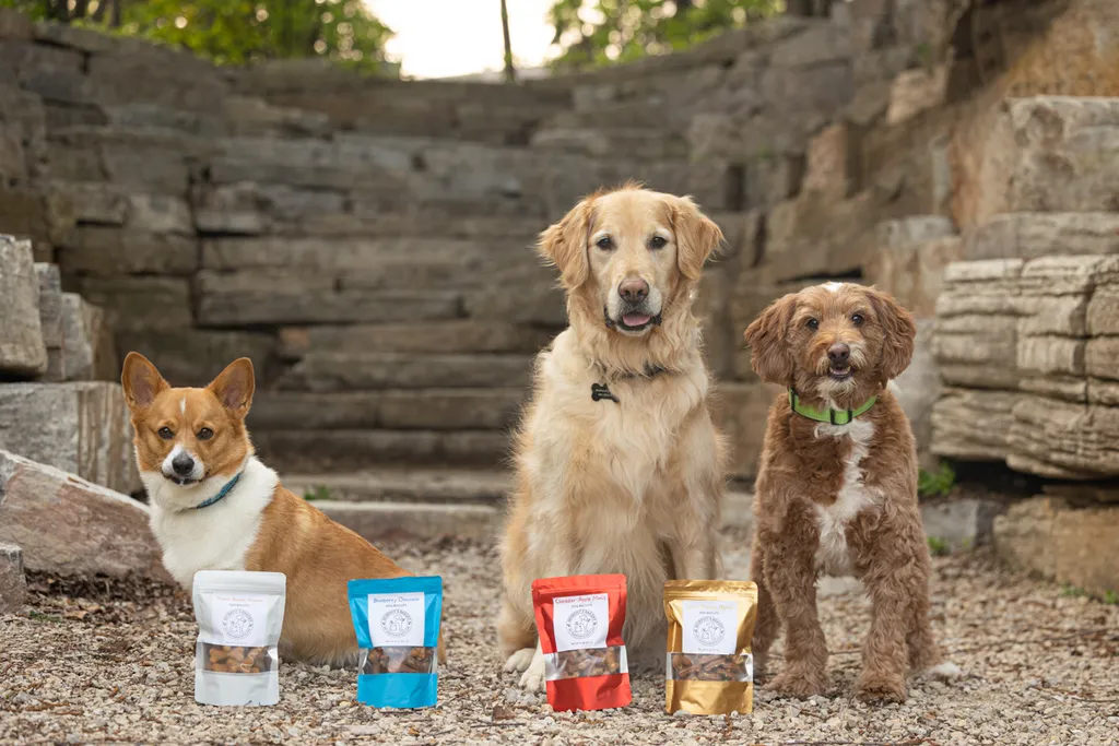 Capturing Paw-some Moments: A 2023 Minnesota Pet Photography Recap That Will Make Your Tail Wag, photo 30 of 107