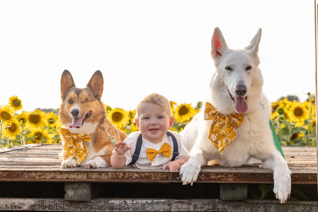 Capturing Paw-some Moments: A 2023 Minnesota Pet Photography Recap That Will Make Your Tail Wag, photo 42 of 107