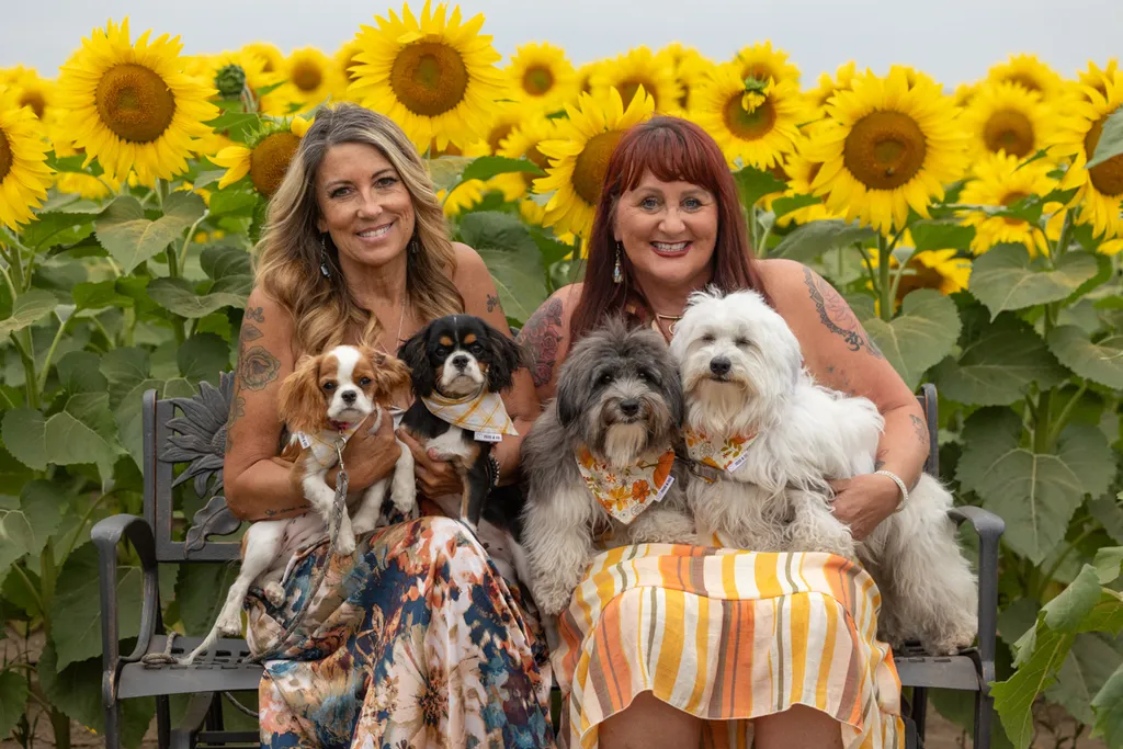 Capturing Paw-some Moments: A 2023 Minnesota Pet Photography Recap That Will Make Your Tail Wag, photo 55 of 107
