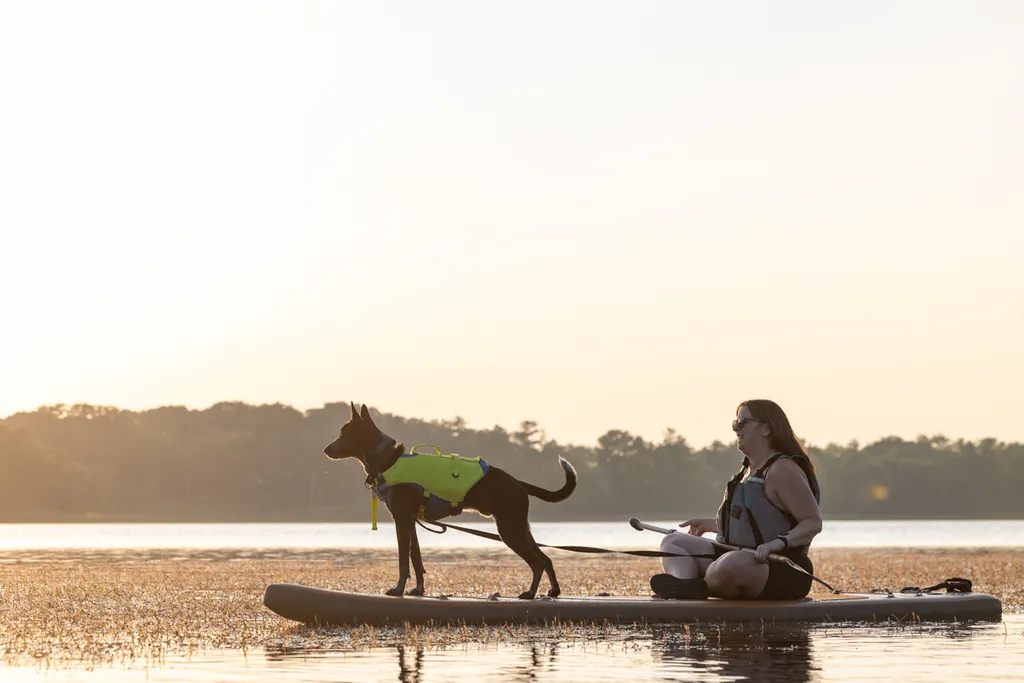 Capturing Paw-some Moments: A 2023 Minnesota Pet Photography Recap That Will Make Your Tail Wag, photo 56 of 107