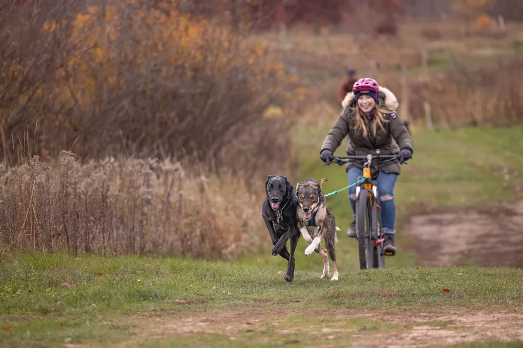 Capturing Paw-some Moments: A 2023 Minnesota Pet Photography Recap That Will Make Your Tail Wag, photo 73 of 107