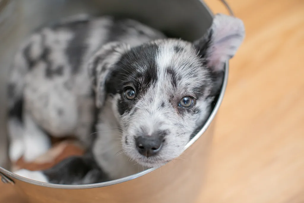 Rescue Photography in 2020, photo 25 of 89