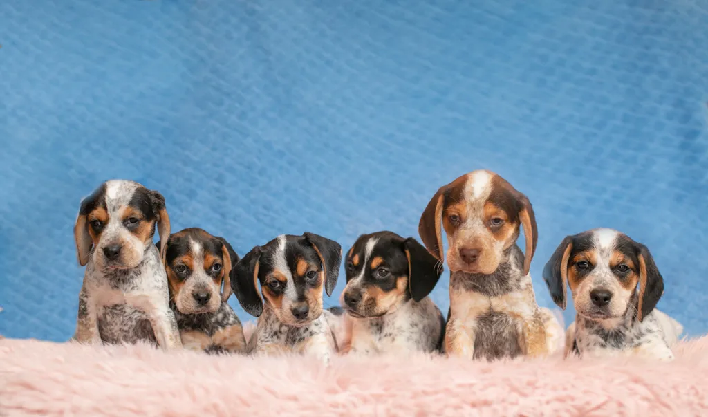 Rescue Photography in 2020, photo 35 of 89