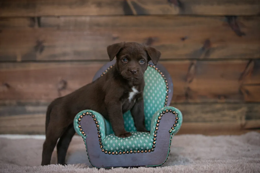 Rescue Photography in 2020, photo 38 of 89