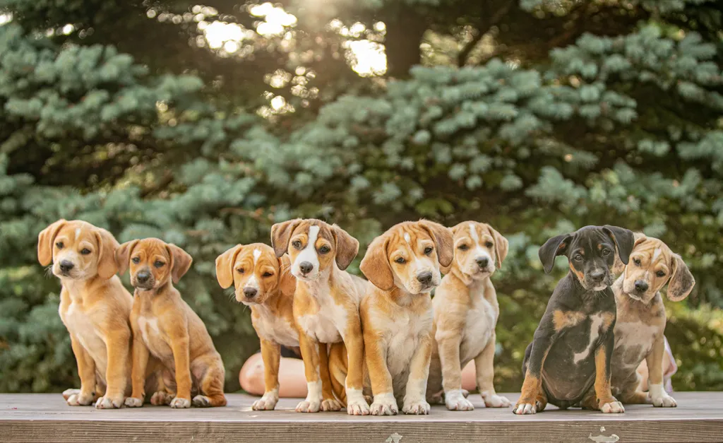 Rescue Photography in 2020, photo 50 of 89