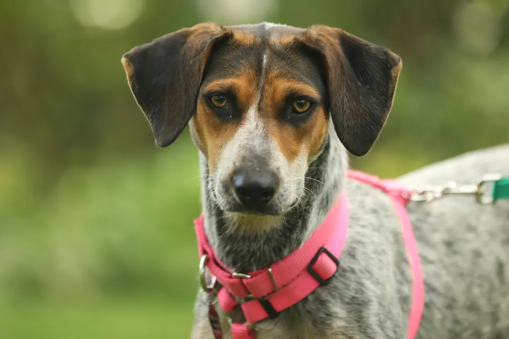 Rescue Photography in 2020, photo 64 of 89