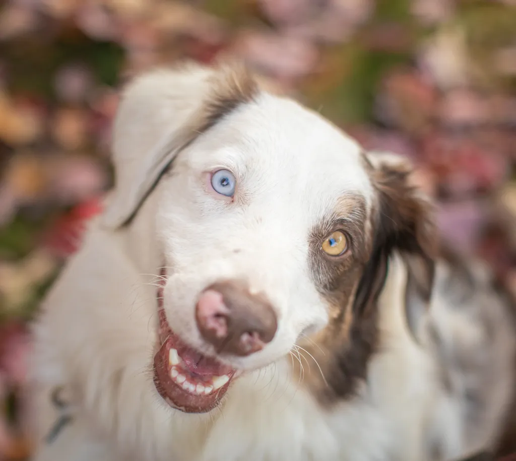 Rescue Photography in 2020, photo 72 of 89