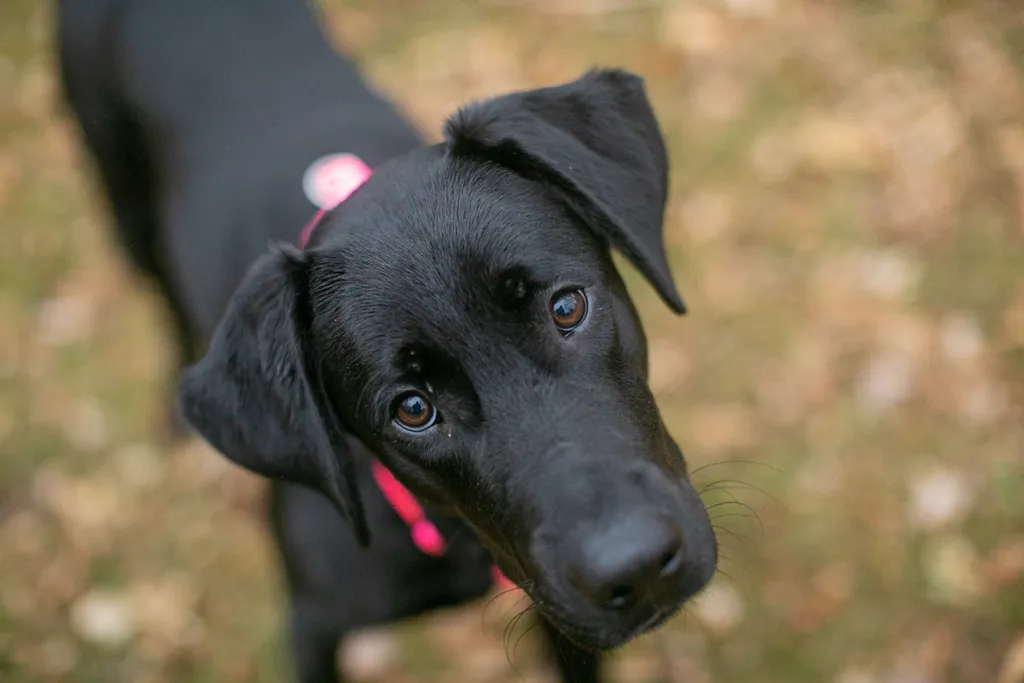 Rescue Photography in 2020, photo 76 of 89