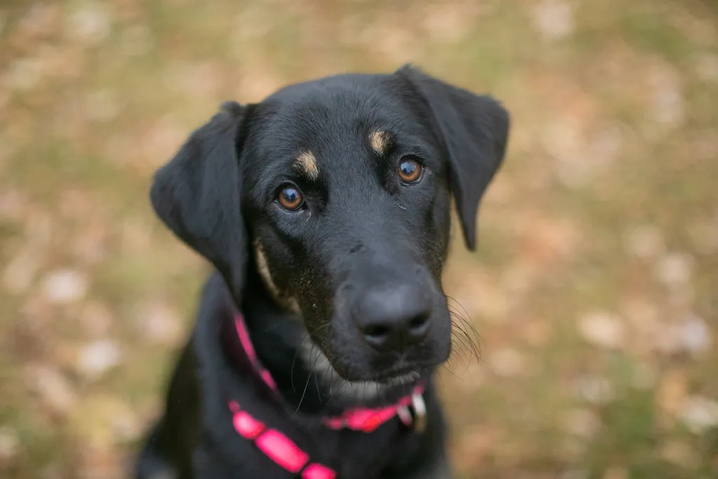 Rescue Photography in 2020, photo 77 of 89